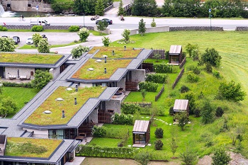 S klimatickými výkyvy si poradí zelené střechy